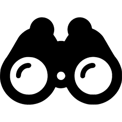 Visibility Icon